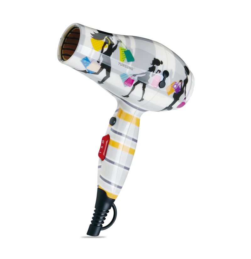 1200W Professional Mini Hair Dryer