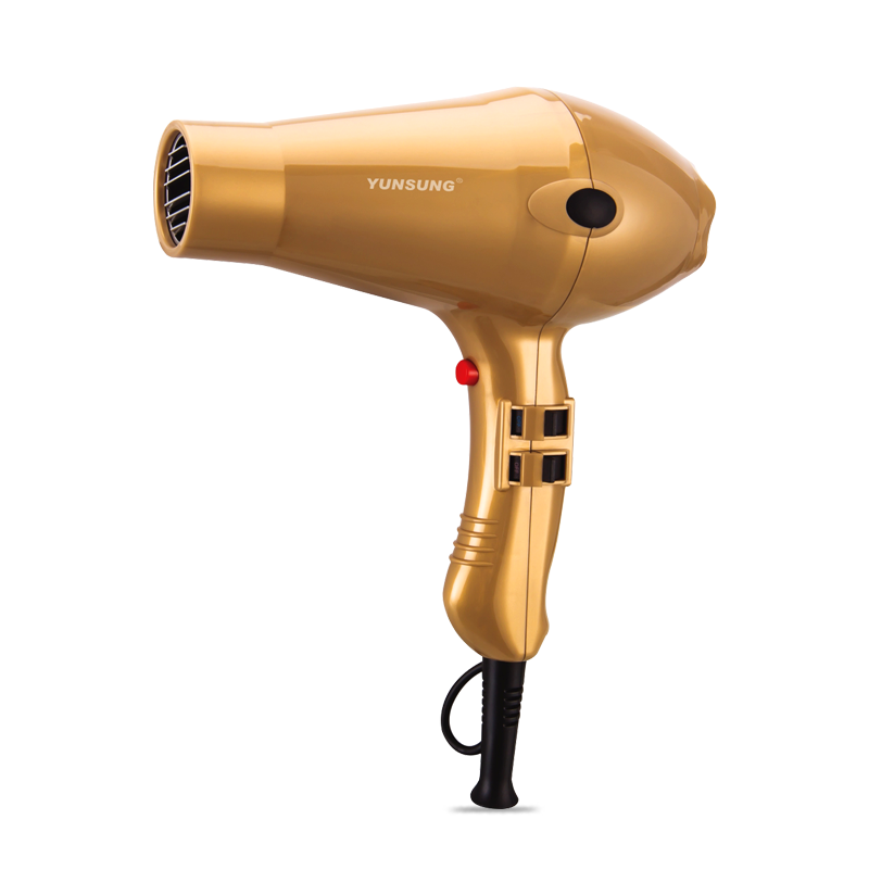 High Power Professional Salon Hair Dryer