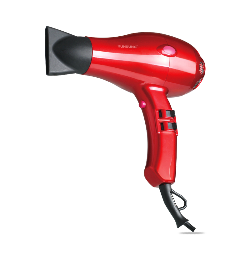 Powerful Low Noise AC Motor Professional Salon Hair Dryer