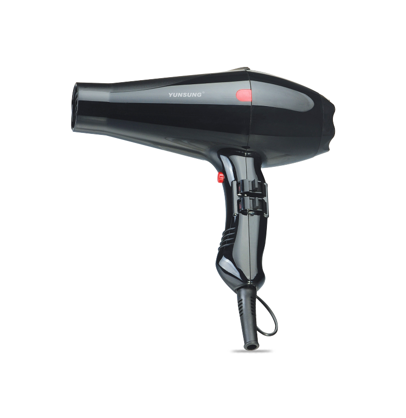 Chinese AC motor professional hair dryer