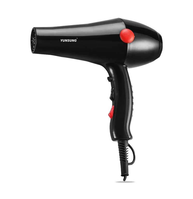 Wholesale Custom Powerful AC Motor Professional Salon Hair Dryer