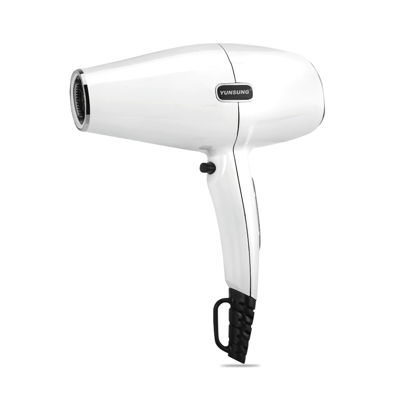 New 2019 Manufactory Price Professional Hair Dryer for Salon Use
