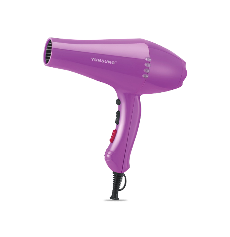 Professional Ionic Color Beauty Hair Salon Hood Hair Dryer