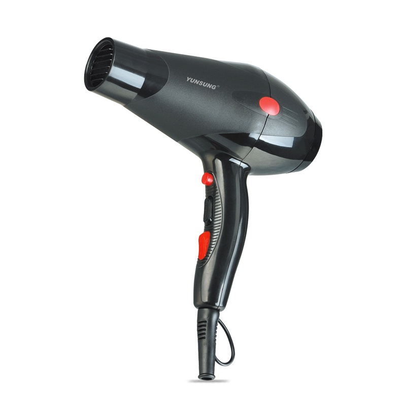 High Power Professional Salon Hair Dryer