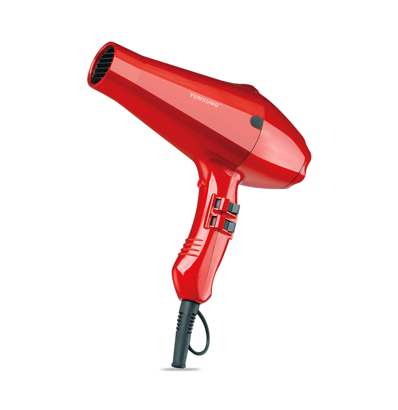 Chinese AC motor professional hair dryer